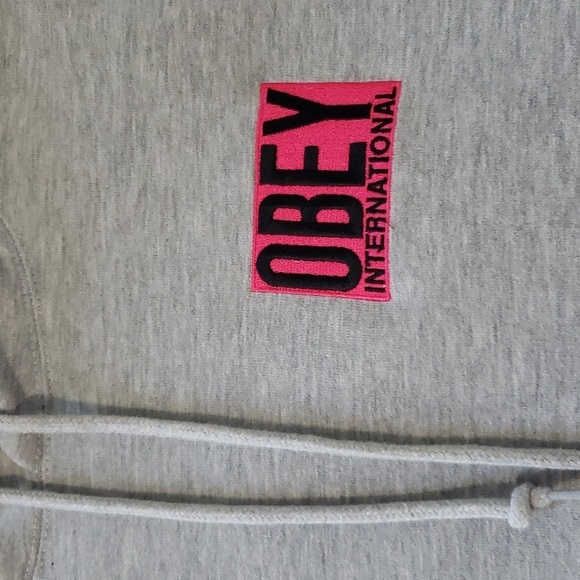 Obey worldwide women's fizz hood ash Heather grey hoodie sweater size small neon - Picture 2 of 9
